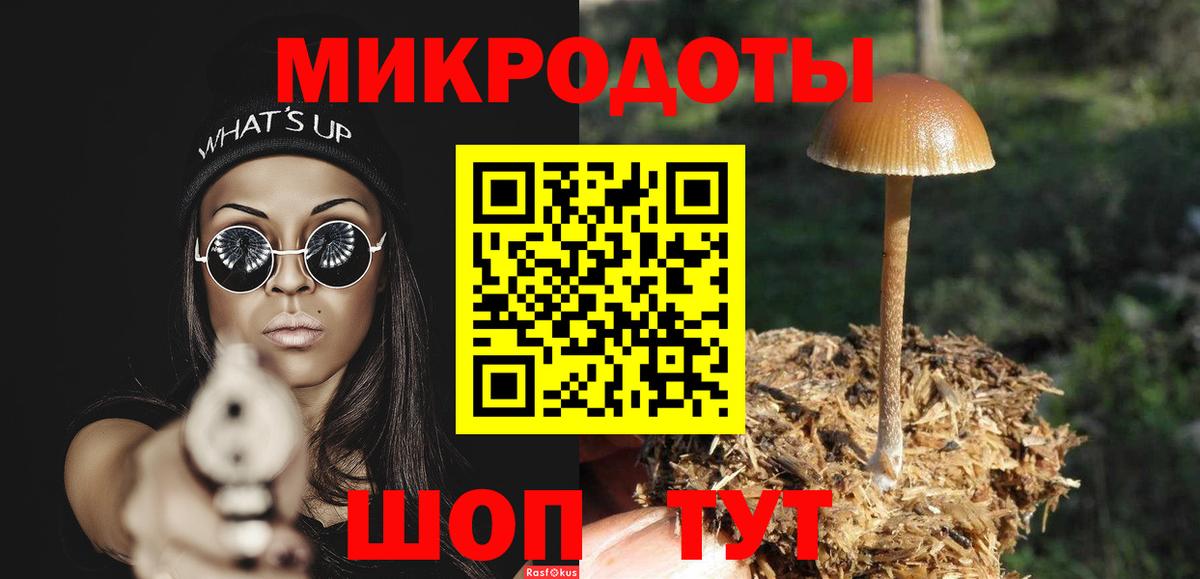 Галлюциногенные грибы GOLDEN TEACHER Новозыбков