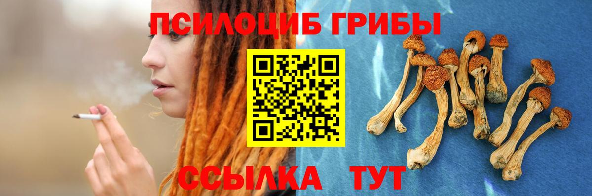 Псилоцибиновые грибы MAGIC MUSHROOMS  Псилоцибиновые грибы Psilocybine cubensis  Вход с VPN  Новозыбков 